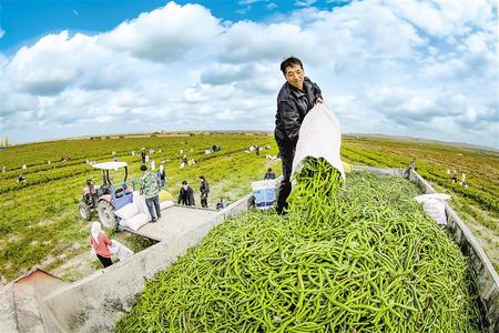 《无极五登录测速_【伟大奇迹中的甘肃印记——甘肃脱贫攻坚纪实】党建引领 凝心聚力》