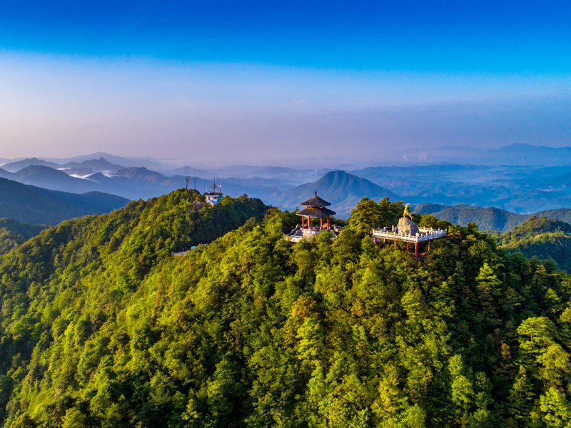 广西山清水秀生态美，自然资源禀赋优势突出，为国家储备林建设打下了良好基础。广西林业局供图