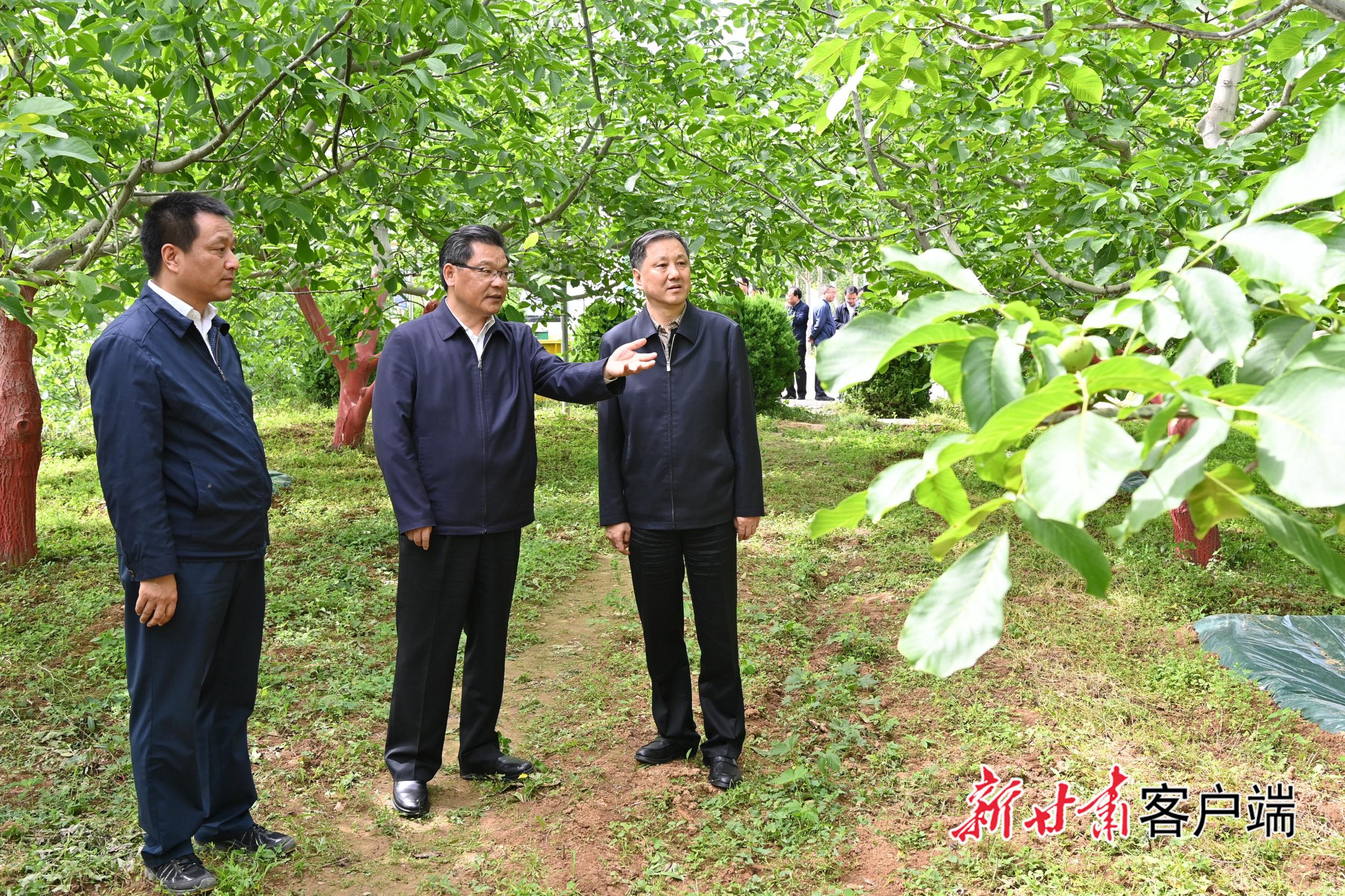 《无极五平台首页_任振鹤在陇南市调研时强调：以百姓心为心 为现代化奋斗 持续提升人民群众获得感幸福感安全感》