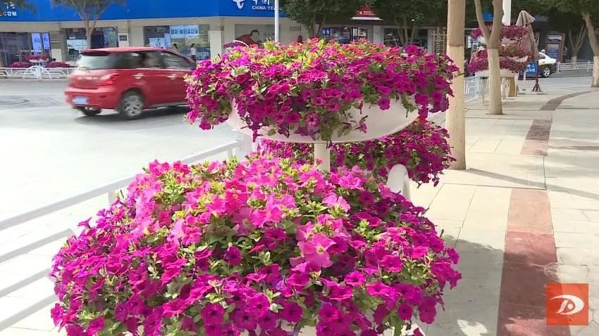 微信截图_20210603115128.png 图片