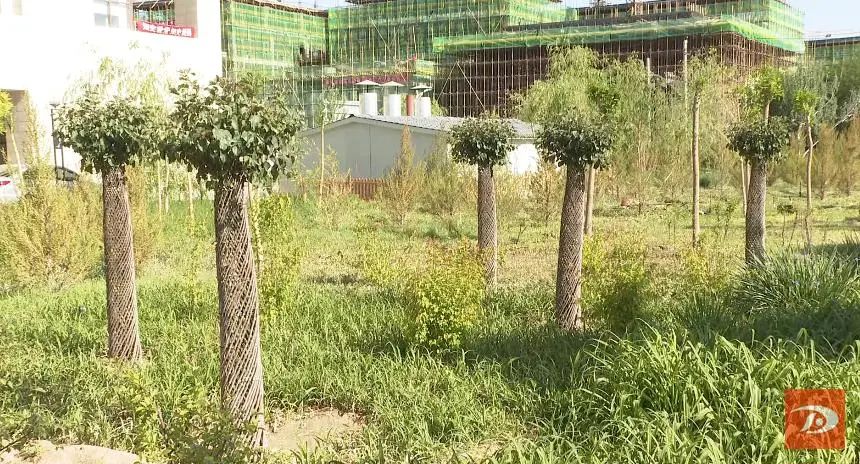 微信截图_20210603114806.png 图片
