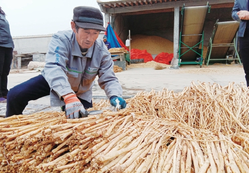 从“苦甲天下”到陇原振兴