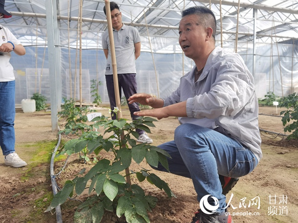 “洋芋专家”李进福正在讲解种植技术。人民网 高翔摄