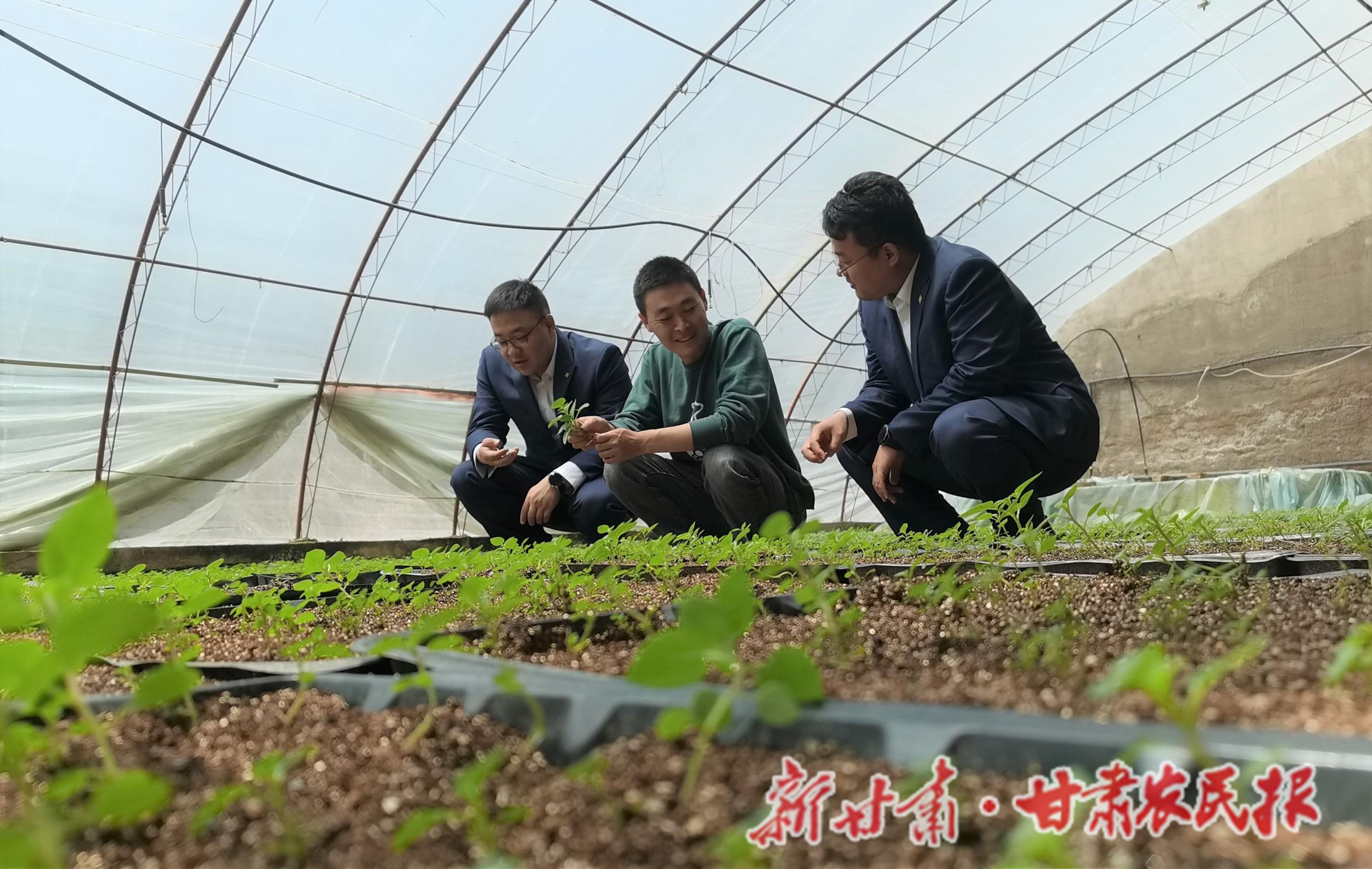 微信图片_20210519214139