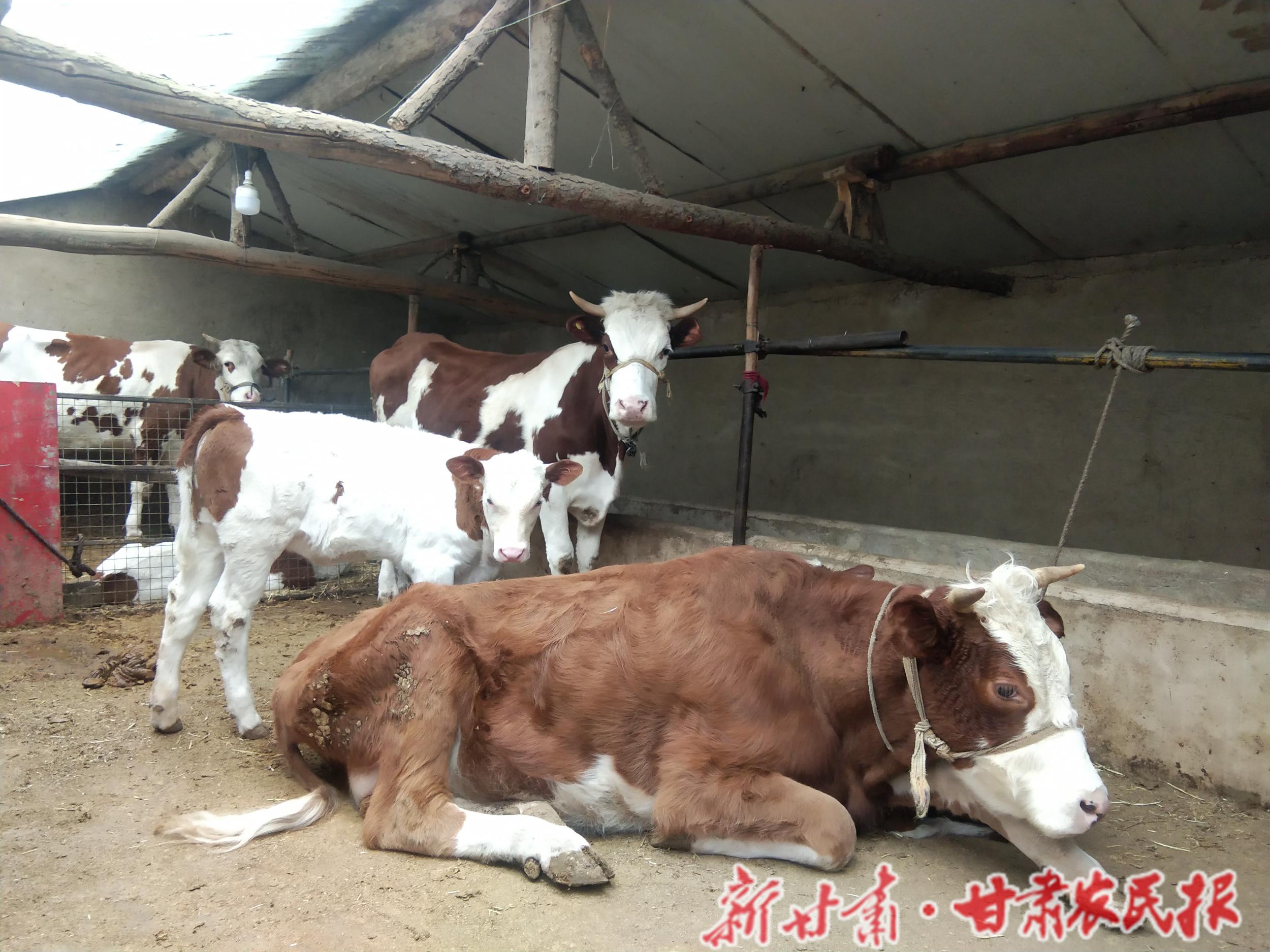 微信图片_20210519214641