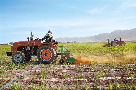 又到一年农忙时