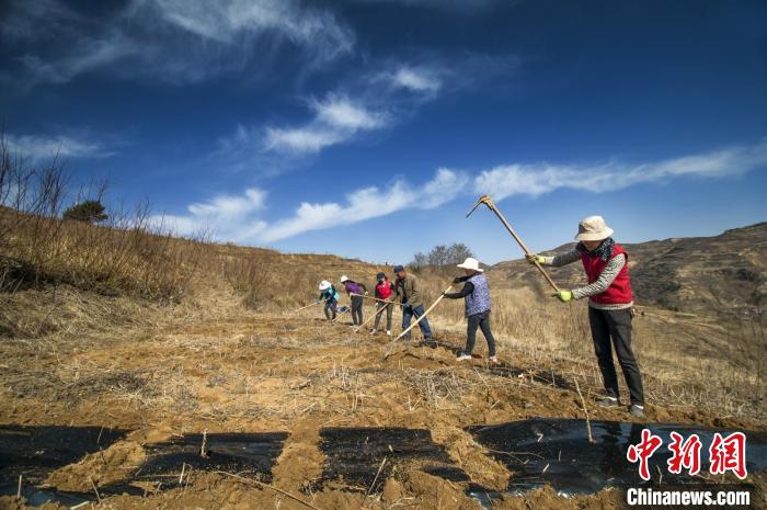 图为甘肃省天水市秦州区春耕景象。(资料图) 王诚 摄