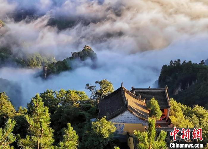 黄河流域平凉林草生态扶贫见实效:启“云植树”增绿新模式