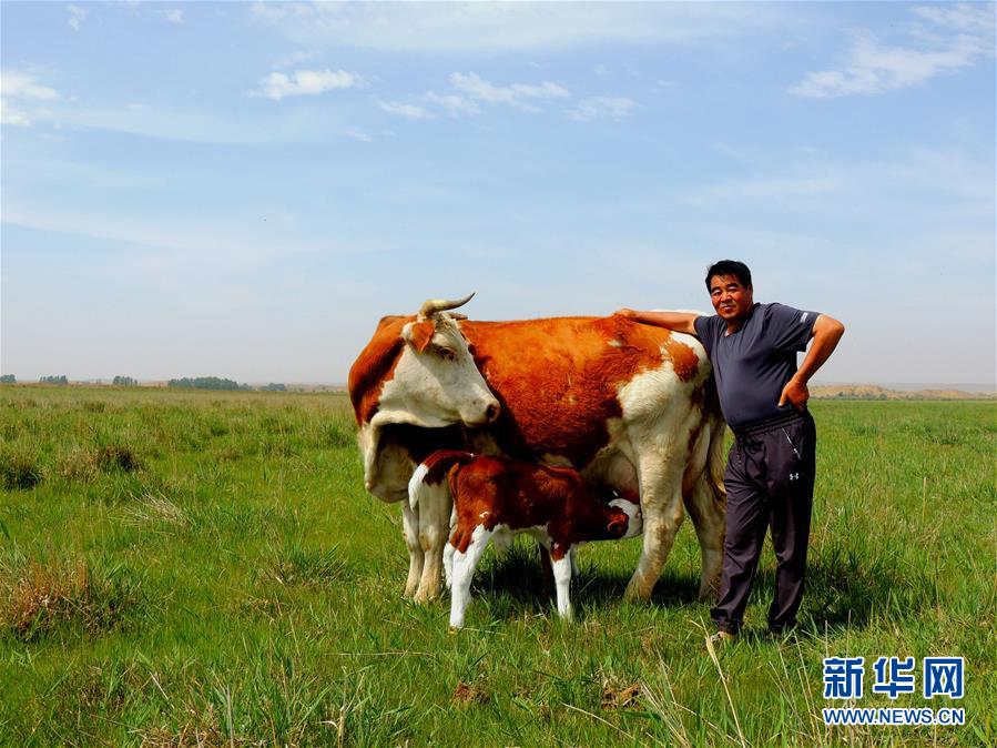 (奋斗百年路 启航新征程·“七一勋章”获得者·图文互动)(4)“草原之子”廷·巴特尔:让草原绿起来,帮牧民富起来