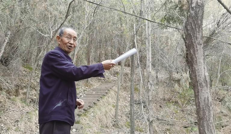 蔡仁智：38年搞绿化 汗水浇出满山霞