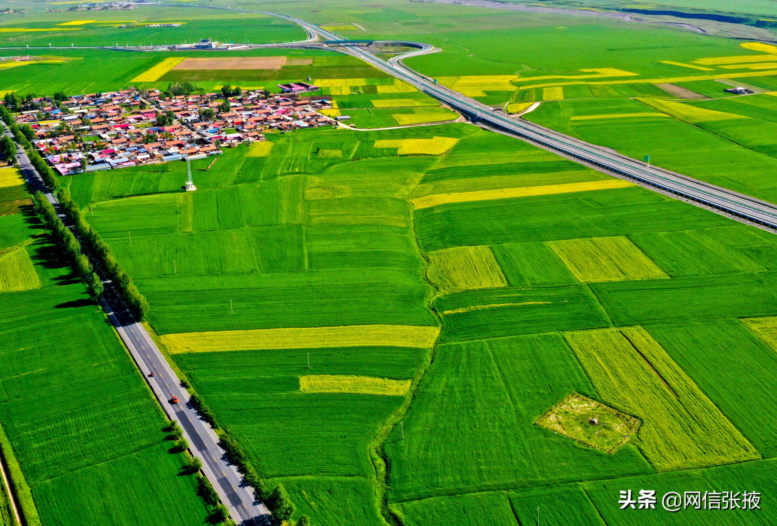 甘肃张掖:美丽乡村入画来