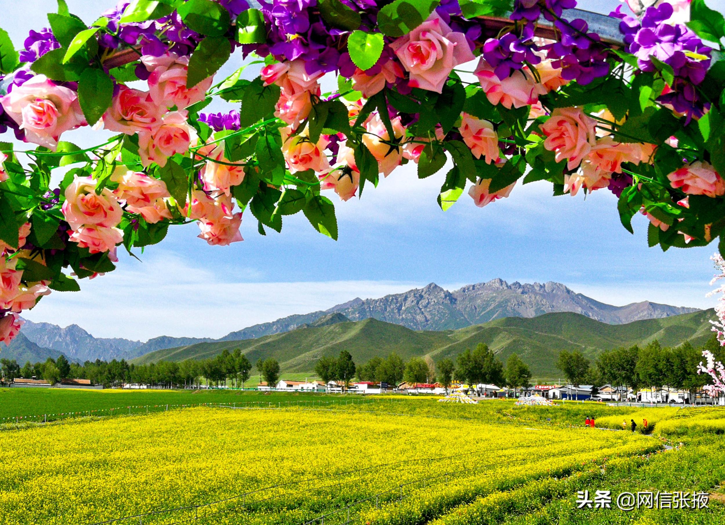 甘肃张掖:美丽乡村入画来