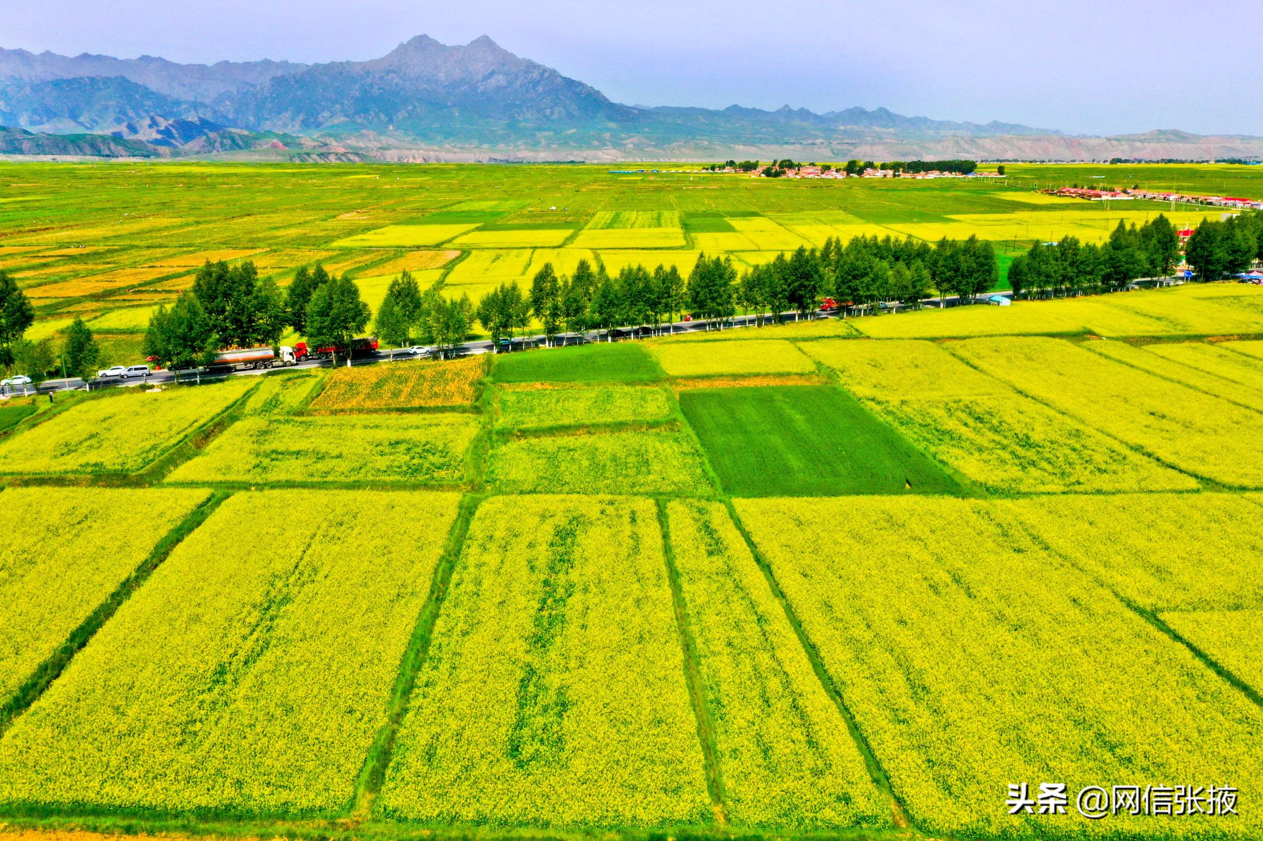 甘肃张掖:美丽乡村入画来
