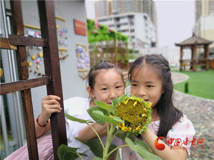 兰州：社区小菜园丰收了 这些果实都可带回家 