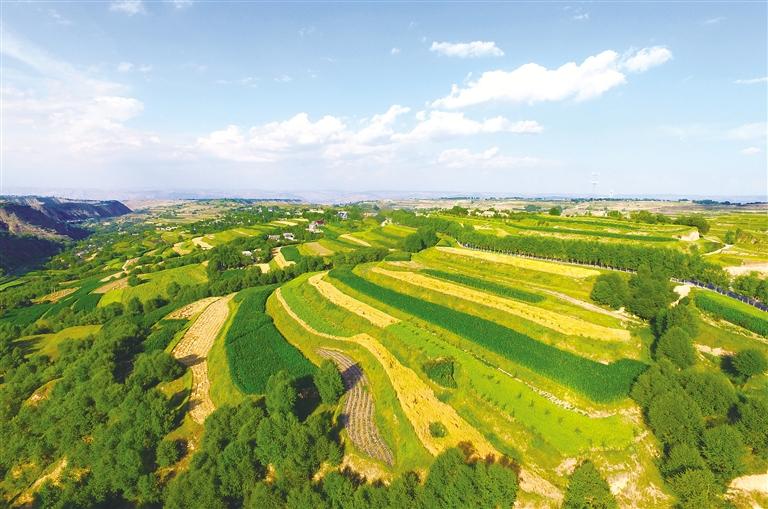 盛夏时节俯瞰临夏县井沟乡