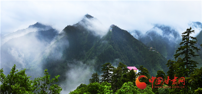 【陇拍客】夏日送清凉 雨后兴隆山看看都清爽