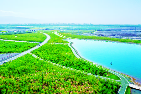 烂河滩变身“绿色银行”——张掖市城市园林绿化精品工程建设纪实