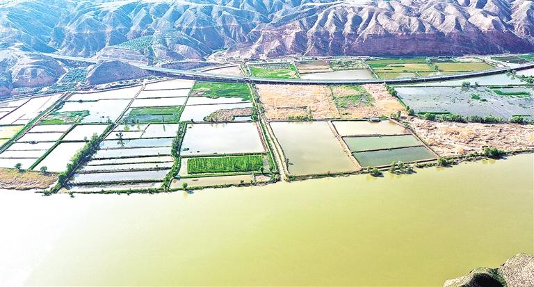 临夏州永靖县充分利用黄河三峡丰富的水资源大力发展特色水产养殖