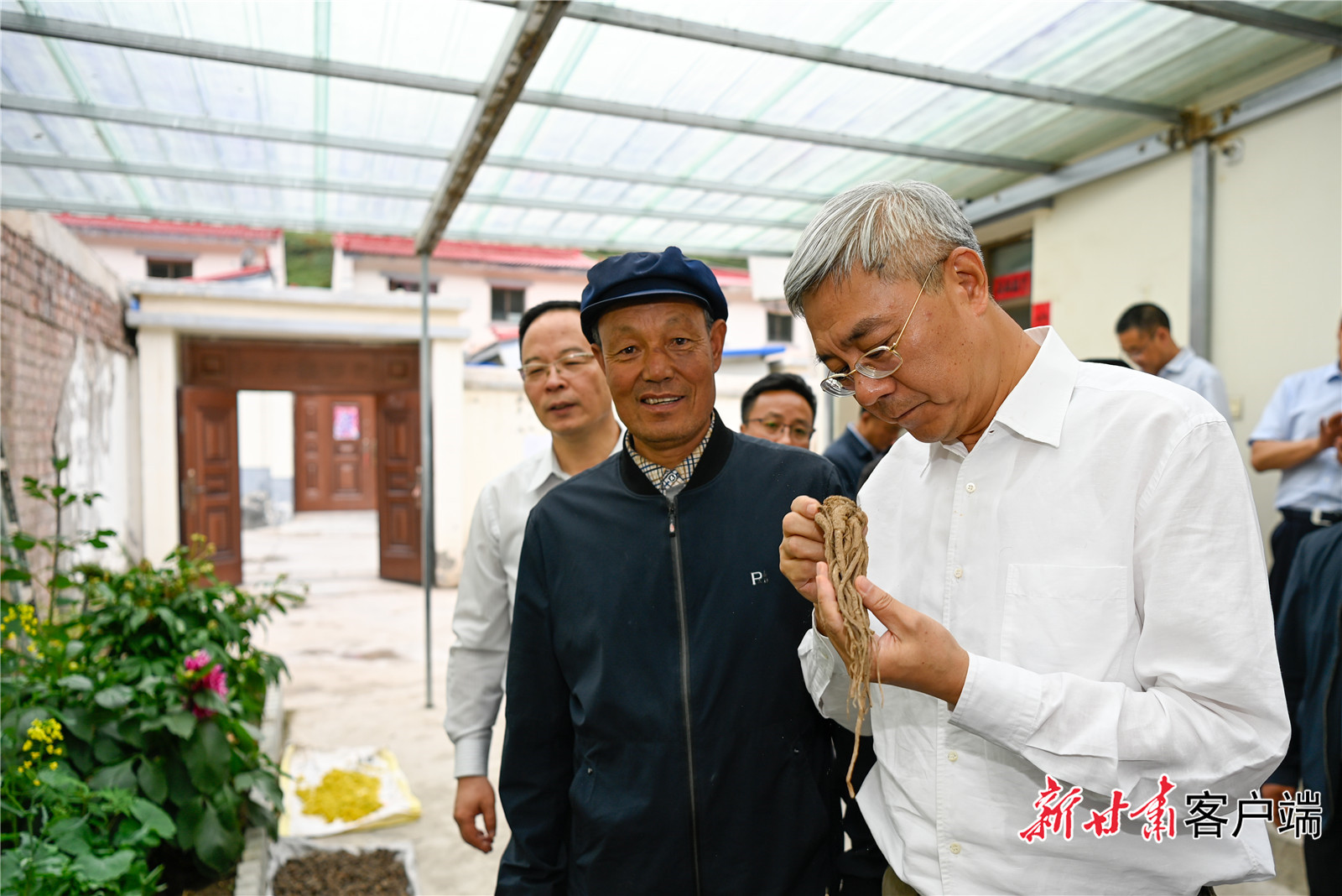 《无极5网站_尹弘在定西调研：菌菇产业大有前景 带动群众增收致富》