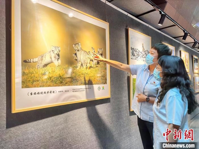 图为前来参展的西宁市民。 祁增蓓 摄 图为前来参展的西宁市民。 祁增蓓 摄