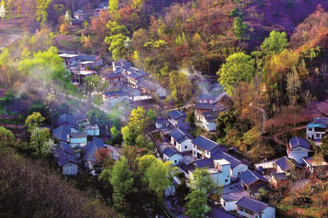 久久为功磨一剑 贫困山乡绽新颜 --美丽乡村建设“康县探索”的调查与启示