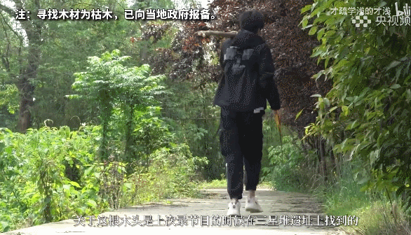 图片来源:B站 点击进入下一页