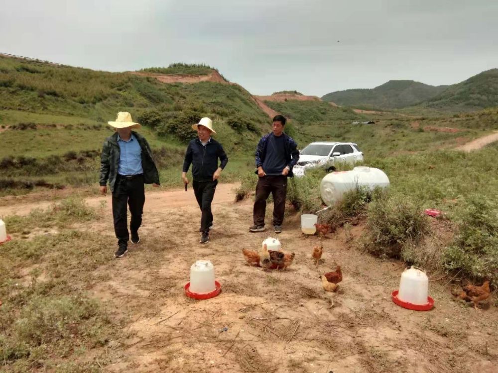 《无极平台网站_跨越千里的情谊——津甘东西部协作打开农户新生活》