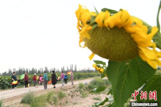 图为周边村民在花间小道跳广场舞。　杨艳敏 摄