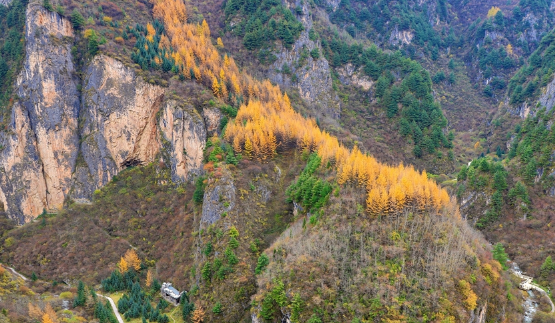 【“飞阅”中国】甘肃漳县：萧萧秋林遮阳山