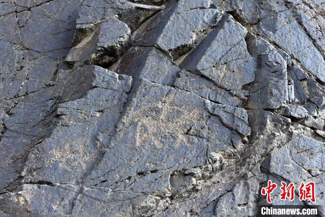甘肃肃北发现逾5000幅千年岩画反映射猎游牧生活