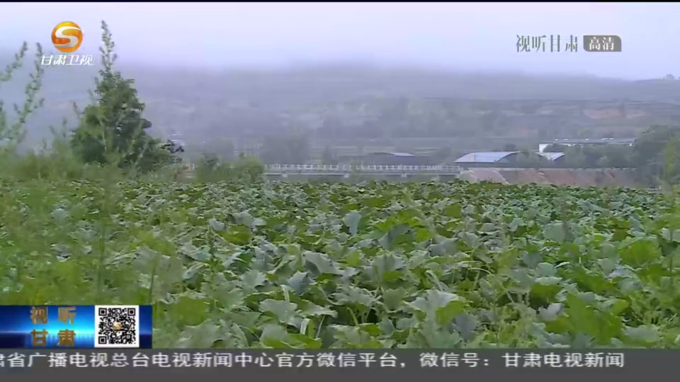 《无极五注册网站_【短视频】甘肃省大部迎来降雨天气过程》