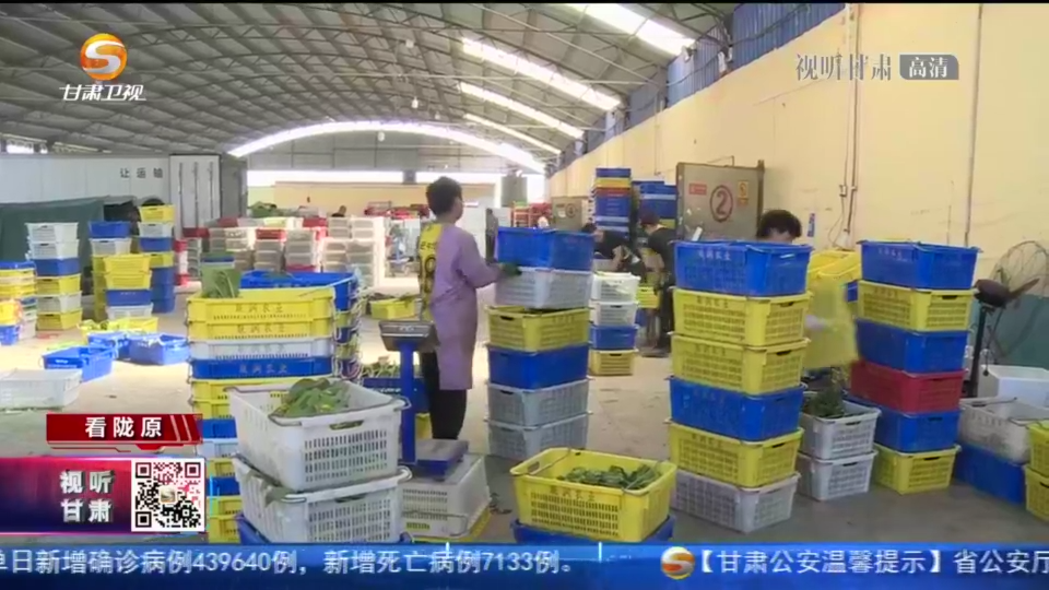 专属“菜篮子”:甘味蔬菜72小时“端上”粤港澳餐桌