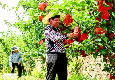 劳动成就梦想——劳动精神述评 劳动成就梦想——劳动精神述评