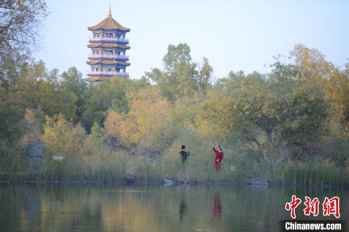 图为胡杨林风景如画。 李斌龙 摄 图为胡杨林风景如画。 李斌龙 摄