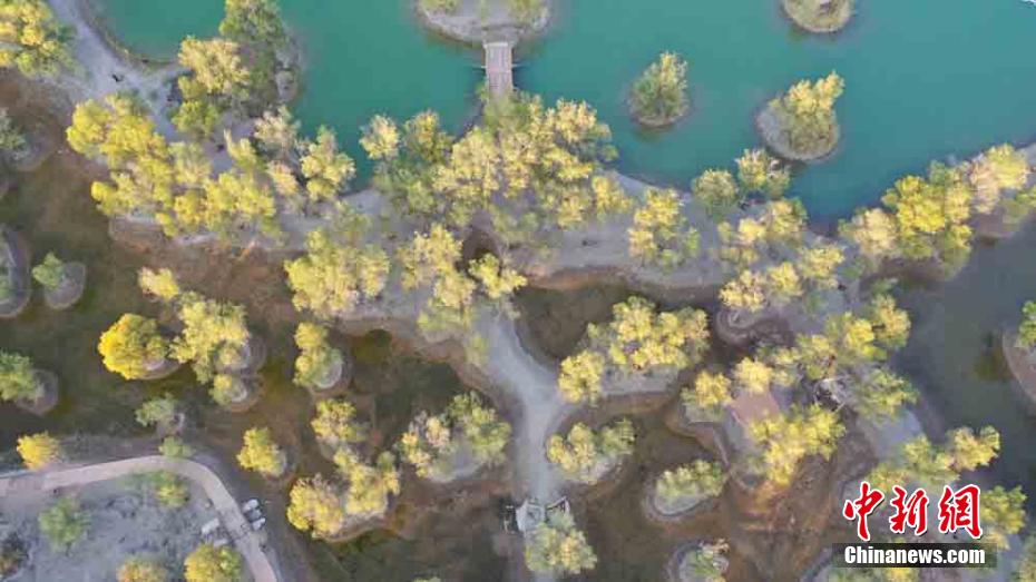 甘肃金塔荒漠绿洲：“湖”“杨”相映生辉宛如油画