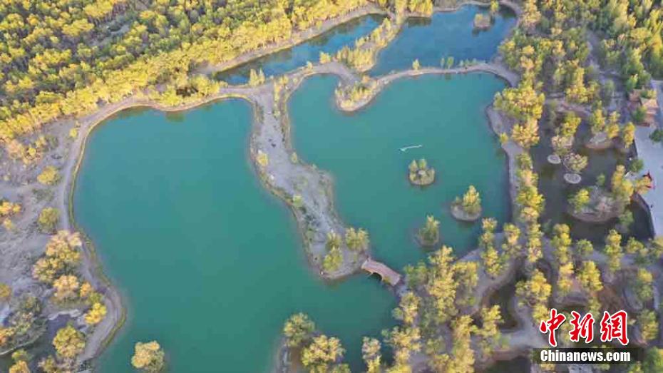 甘肃金塔荒漠绿洲：“湖”“杨”相映生辉宛如油画