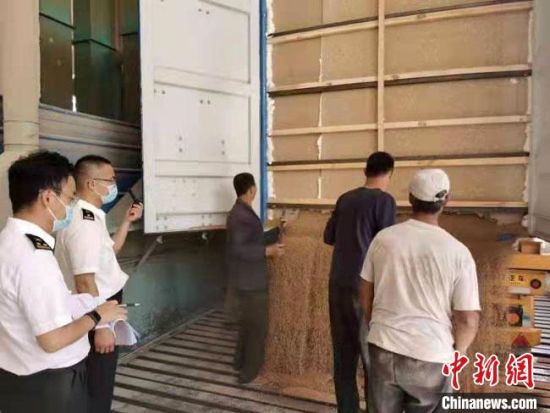 10月2日，2646吨小麦通过中欧班列运抵武威南车站，这是甘肃省武威市首次通过中欧班列进口小麦。　兰州海关供图
