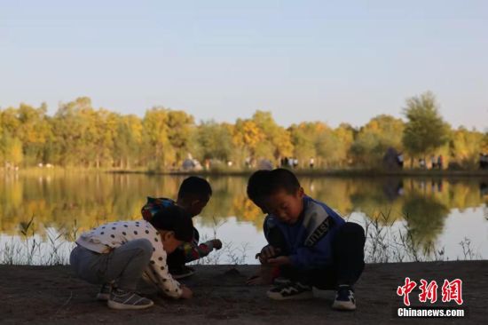 孩子们在胡杨林金波湖胖游玩。 九美旦增 摄