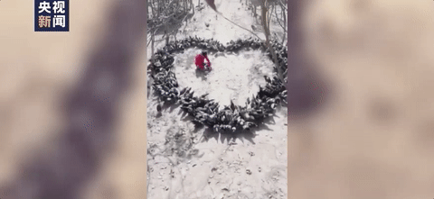 1633405943919386.gif 6.gif