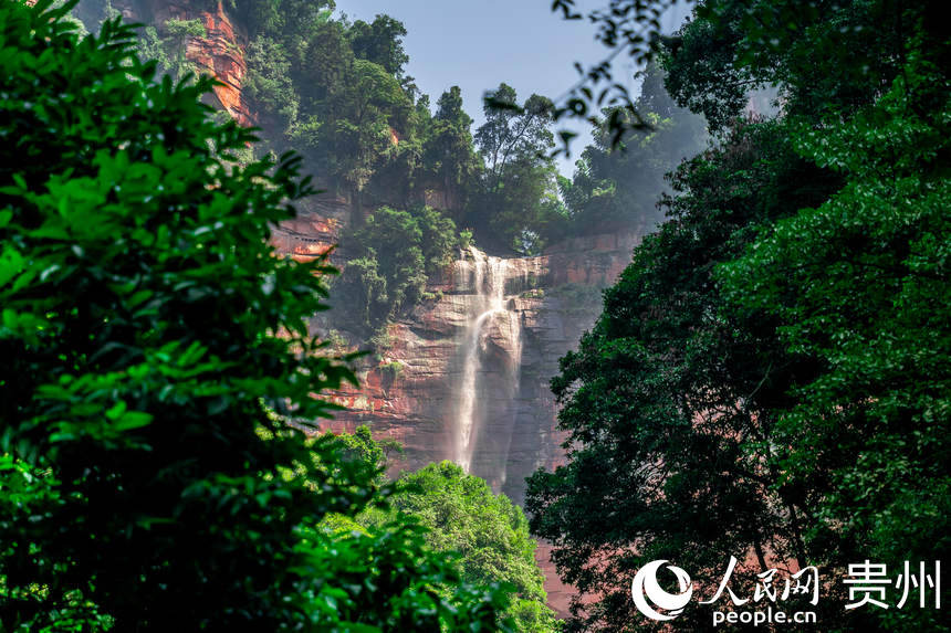  “中国丹霞”赤水世界自然遗产佛光岩景区内的悬崖飞瀑。人民网 涂敏摄
