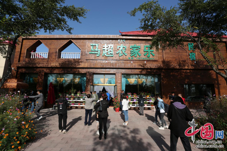 图片13