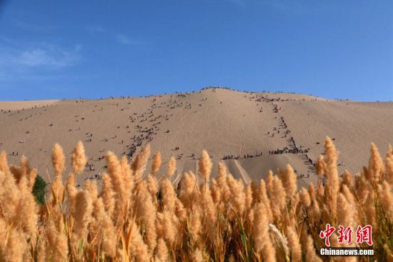 图为10月6日，游客在敦煌市鸣沙山月牙泉景区游览。张晓亮 摄