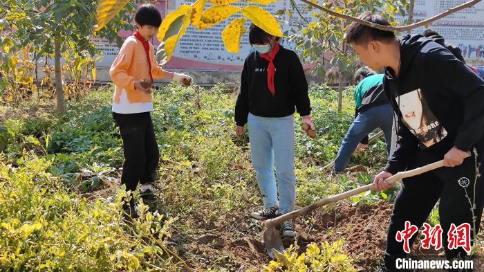 兰州整合资源建实践基地促学生从课堂走向大自然