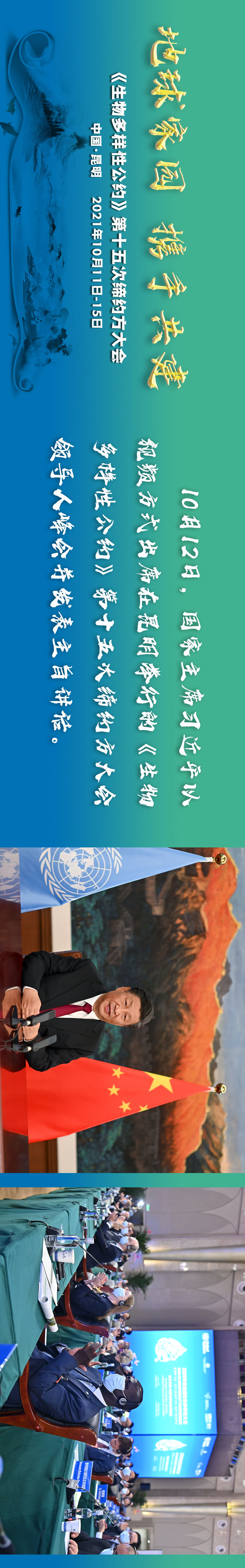 新华全媒+|地球家园 携手共建