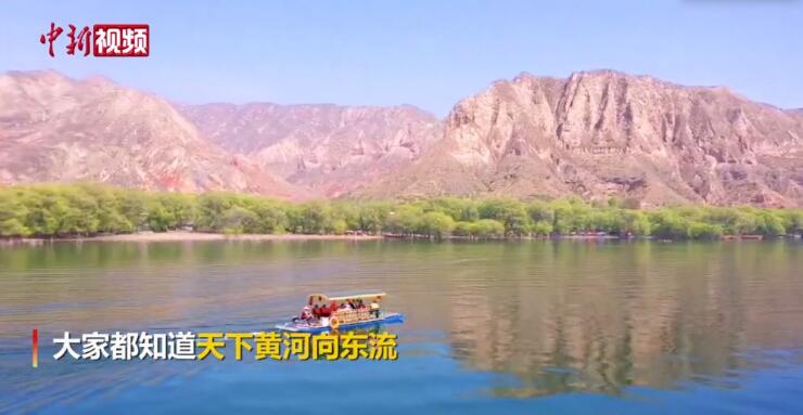 【母亲河畔的中国】天下黄河向东流，这段黄河却向西