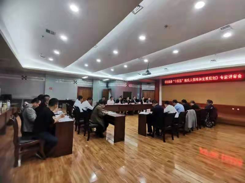 《甘肃省“十四五”残疾人保障和发展规划》专家评审会在兰召开 《甘肃省“十四五”残疾人保障和发展规划》专家评审会在兰召开