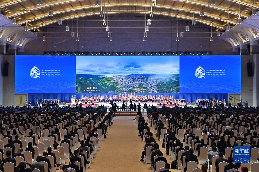 (新华全媒头条·图文互动)(6)为实现世界永续和平发展贡献中国力量——习近平主席在中华人民共和国恢复联合国合法席位50周年纪念会议上的重要讲话解读