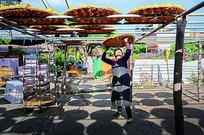 柿饼飘香致富路 柿饼飘香致富路