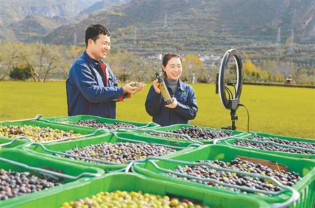 隴南市武都區祥宇油橄欖公司橄欖油直播銷售全國各地