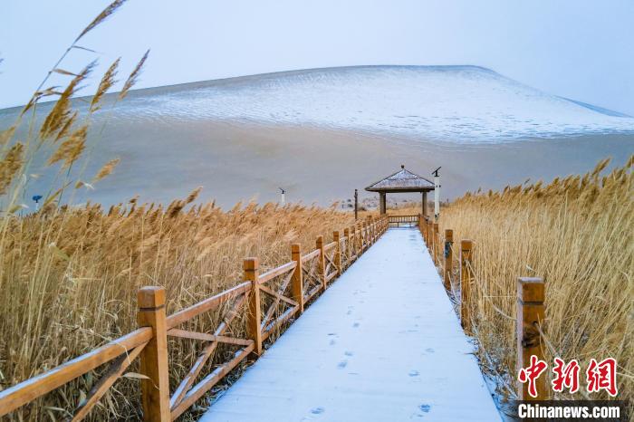 2021年11月28日,在敦煌鸣沙山月牙泉景区,沙雪交融,更显北国风情。 王斌银 摄 2021年11月28日,在敦煌鸣沙山月牙泉景区,沙雪交融,更显北国风情。 王斌银 摄